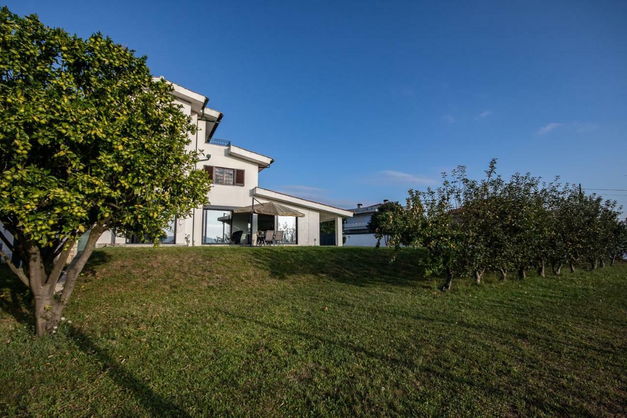 Viana Do Castelo Home ภายนอก รูปภาพ
